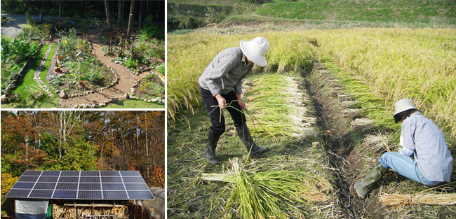ソーラーパネルや庭の写真
